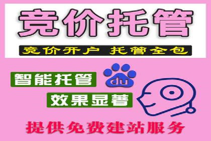某电商平台SEM竞价广告的转化率提升案例